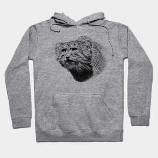 Manul-Pallas's cat Hoodie